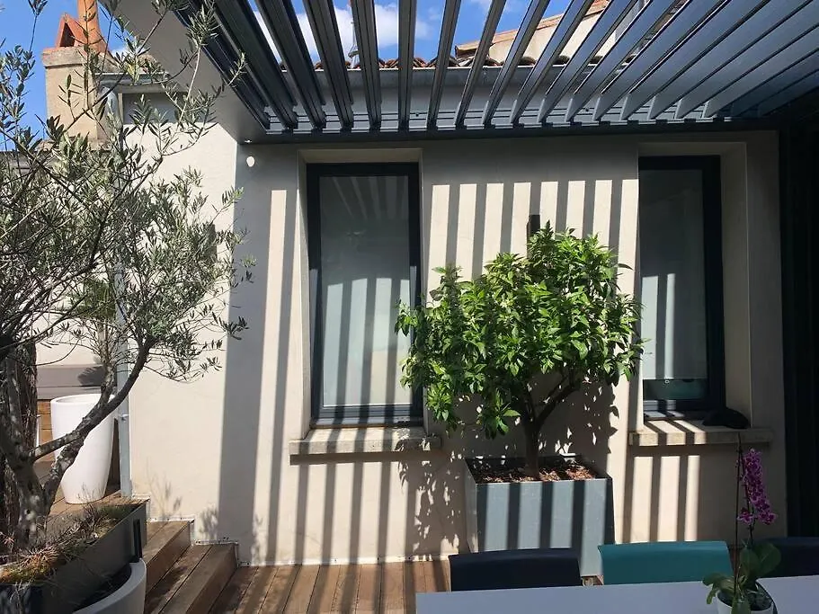 Villa Maison Contemporaine Plein Centre Piscine &Jacuzzi Toulouse