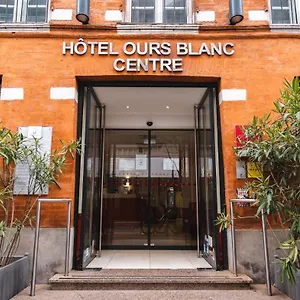 Ours Blanc - Centre Toulouse