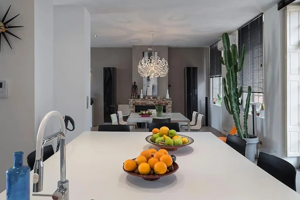 Villa Maison Contemporaine Plein Centre Piscine &Jacuzzi Toulouse