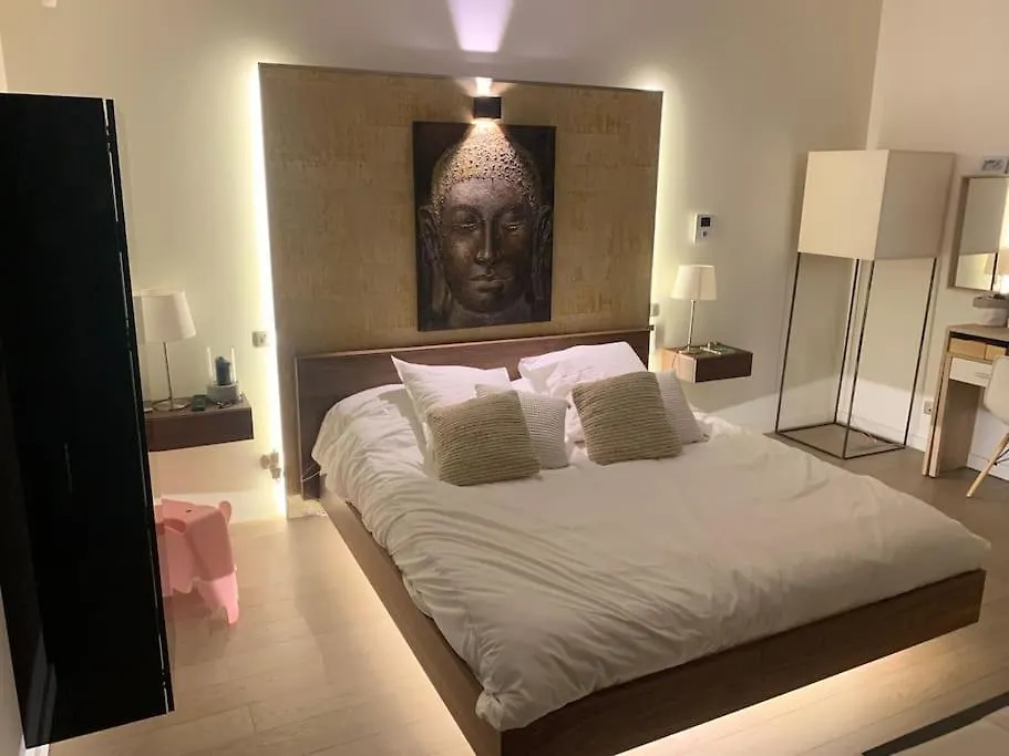 Maison Contemporaine Plein Centre Piscine &Jacuzzi Toulouse Villa